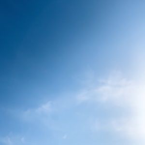 Meet your Posher, Katrina